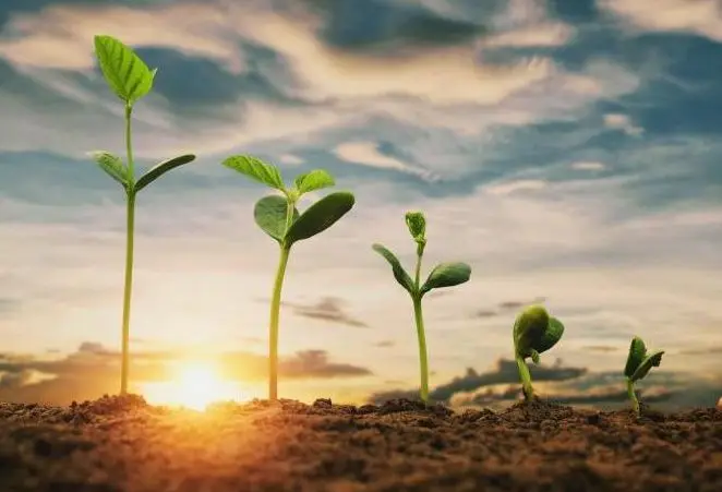 img-responsive Maszyny używane na korbanek.pl